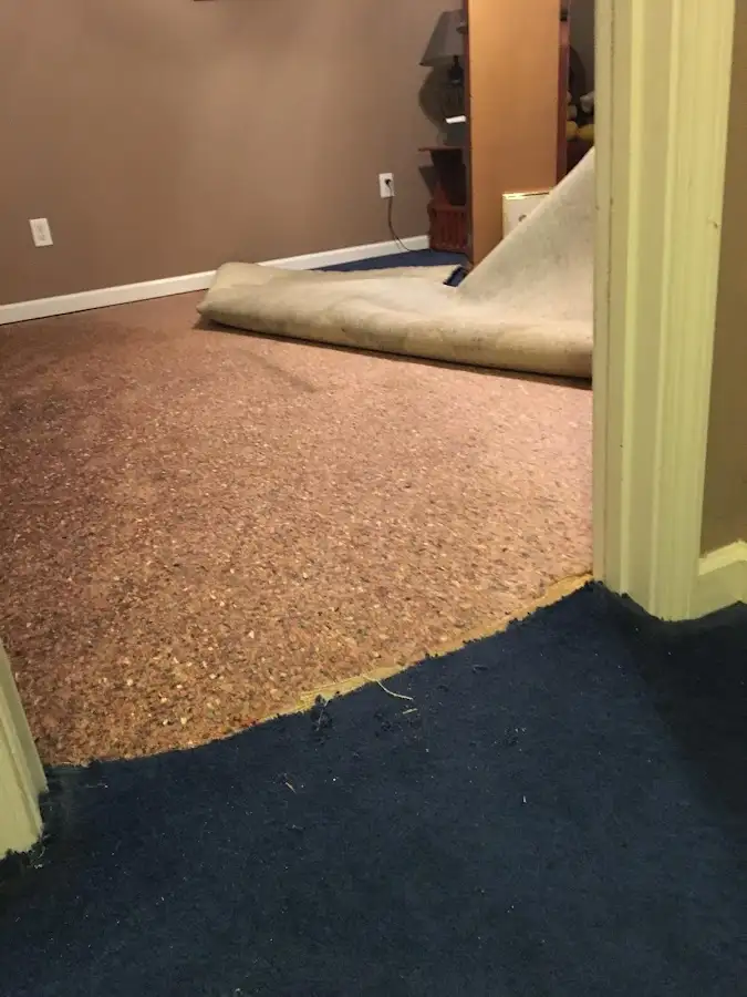 Carpet pad removal revealing water damage during Water Mitigation Services in Bladensburg