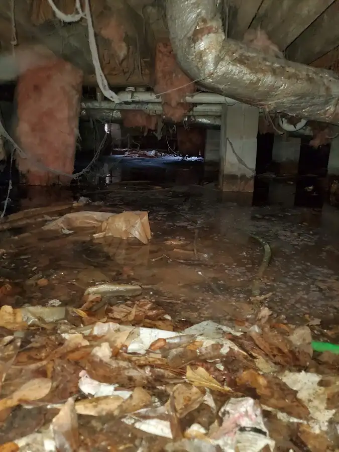 Crawl space flood assessment for Leak Detection & Repair in Bladensburg