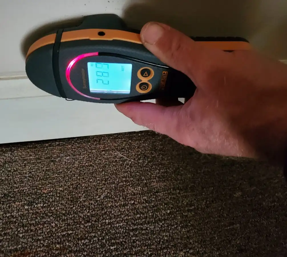 Moisture detection at baseboard during Sewage Cleanup & Sanitation in Bladensburg